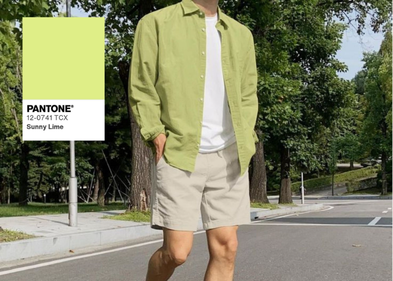 Tren Warna Pantone 2026
